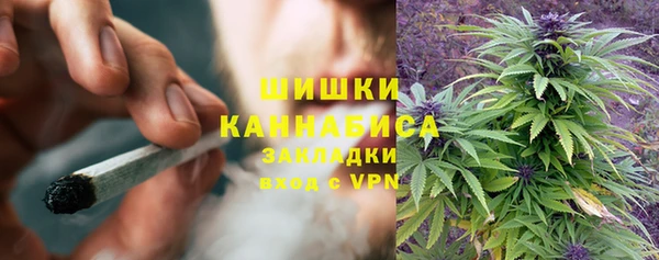 шишки Алзамай