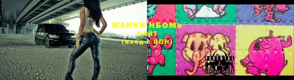 шишки Алзамай