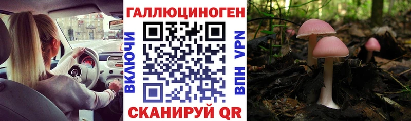 hydra ТОР Кондопога Псилоцибиновые грибы MAGIC MUSHROOMS